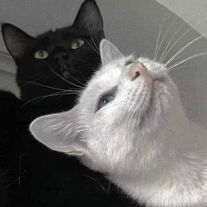 范冰冰演过三年级的电影
